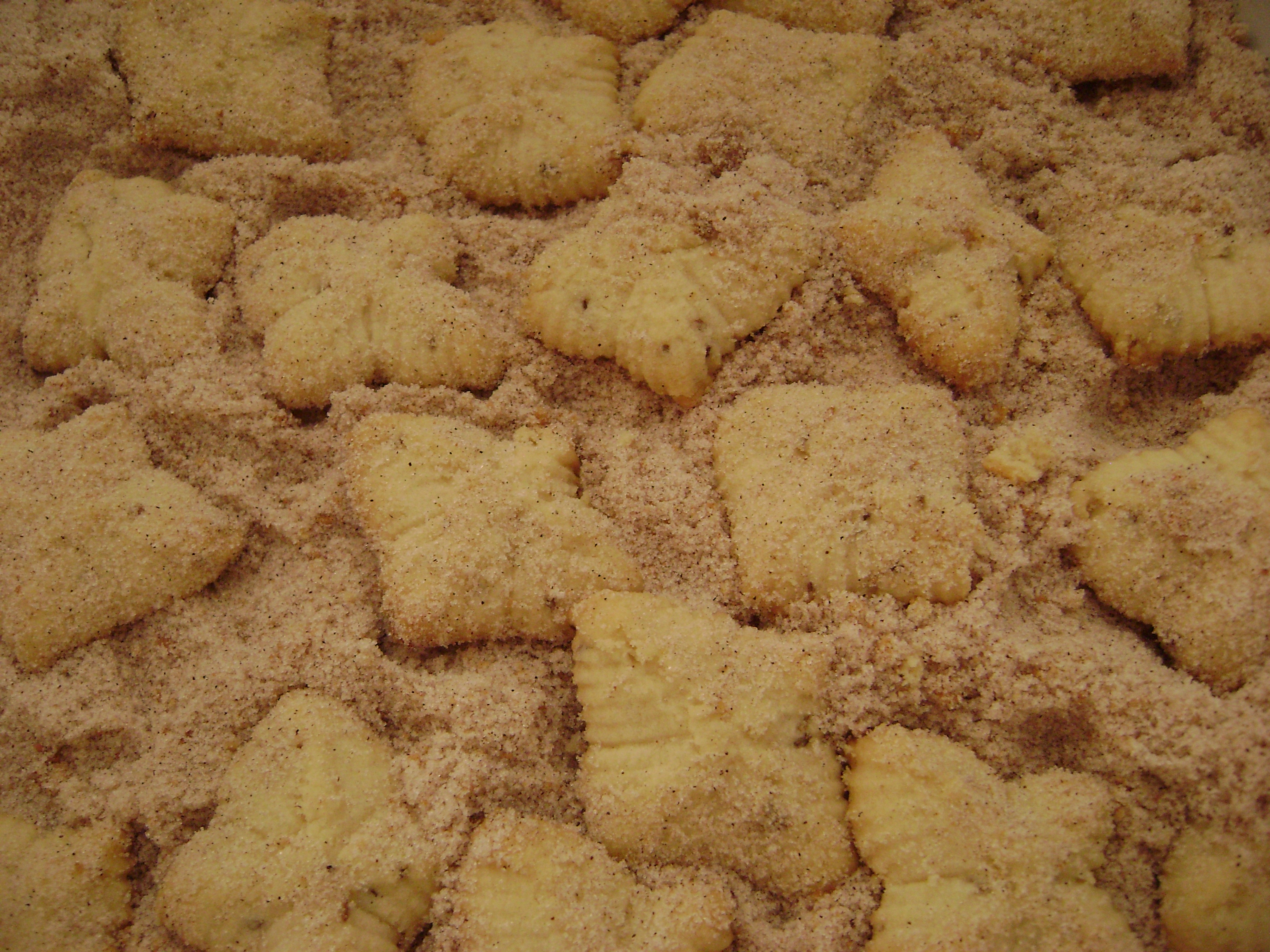 biscocho2.jpg